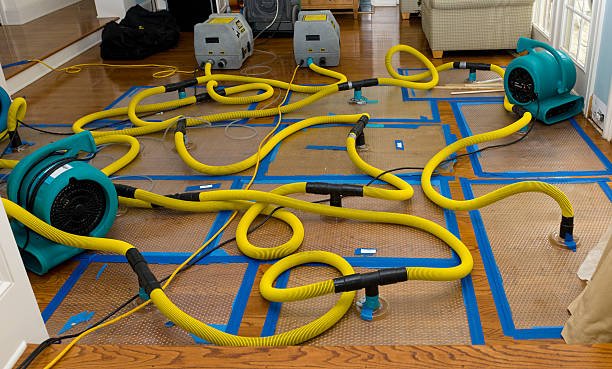 Professional Burst Pipe Water Damage technician working in Dover, AR